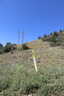 Photo 6 of 18