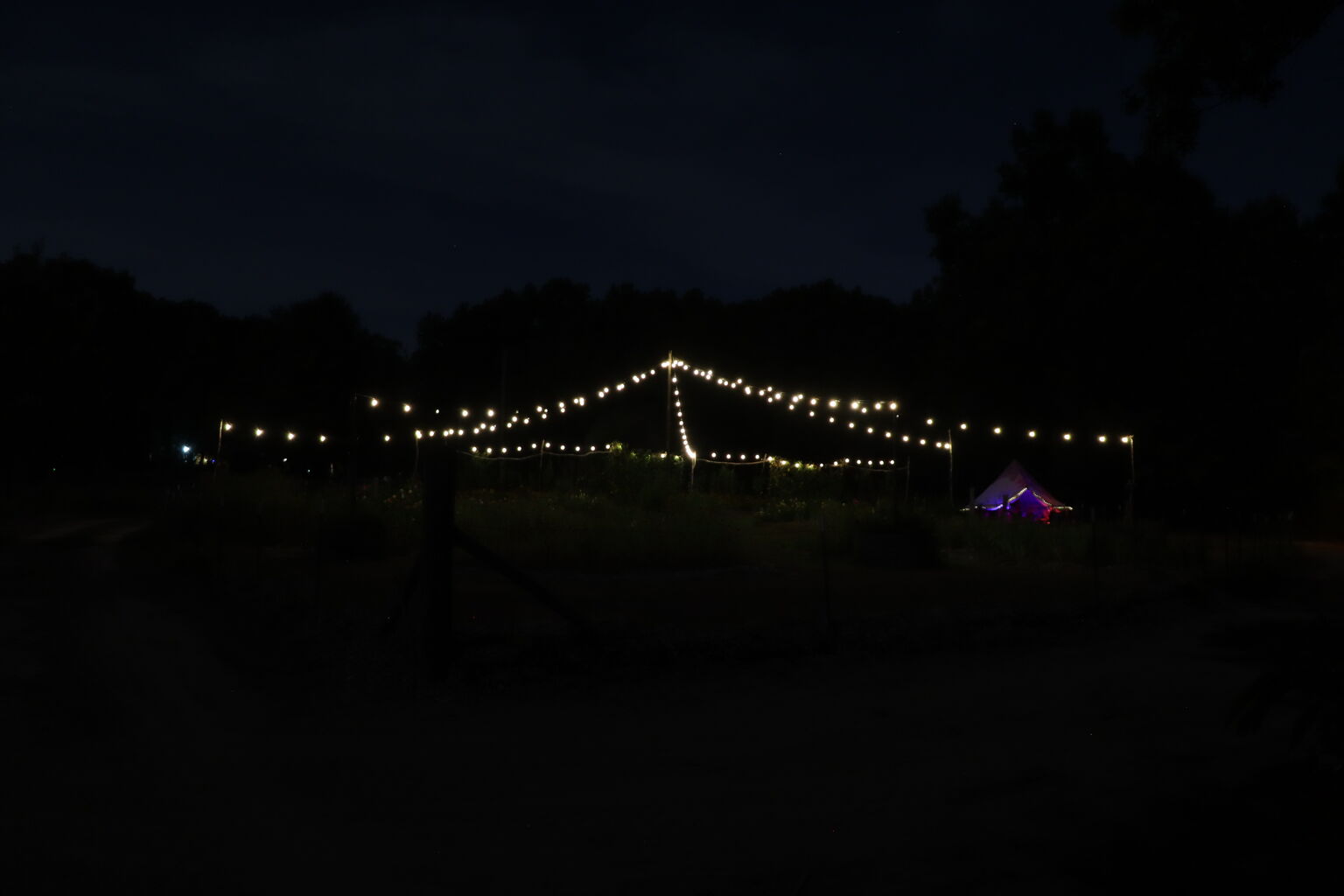 Photo 6 of 7