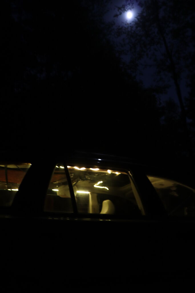 Photo 7 of 7