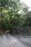 Photo 5 of 14