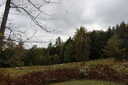 Photo 13 of 40