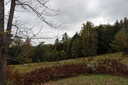 Photo 14 of 40