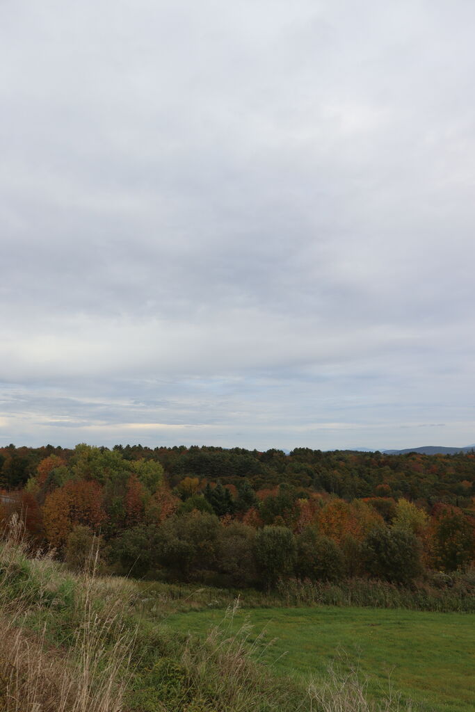 Photo 33 of 40
