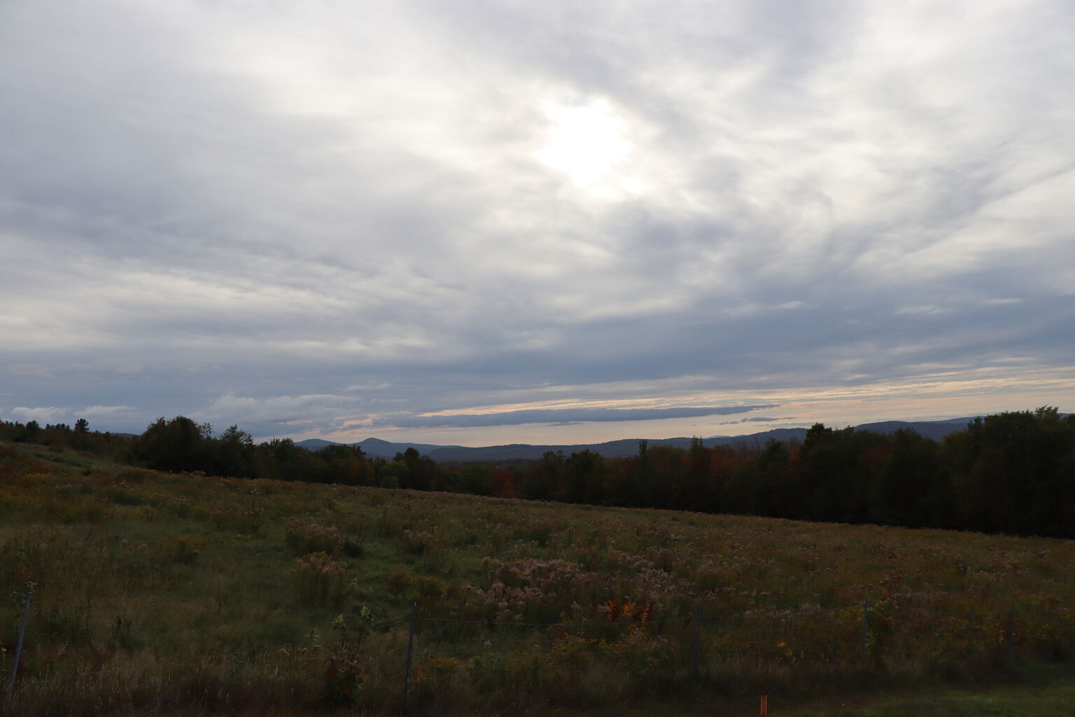 Photo 36 of 40