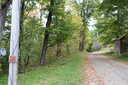 Photo 10 of 27