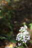 Photo 19 of 27