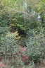 Photo 4 of 7