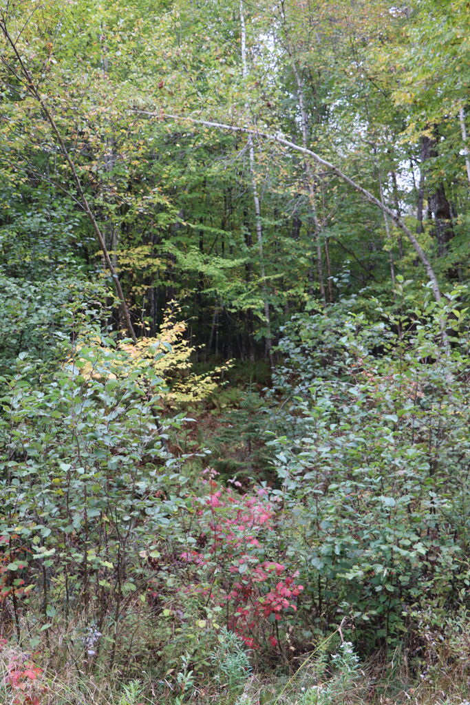Photo 4 of 7