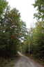 Photo 6 of 7