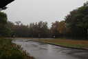 Photo 4 of 21