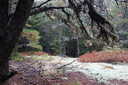Photo 7 of 21