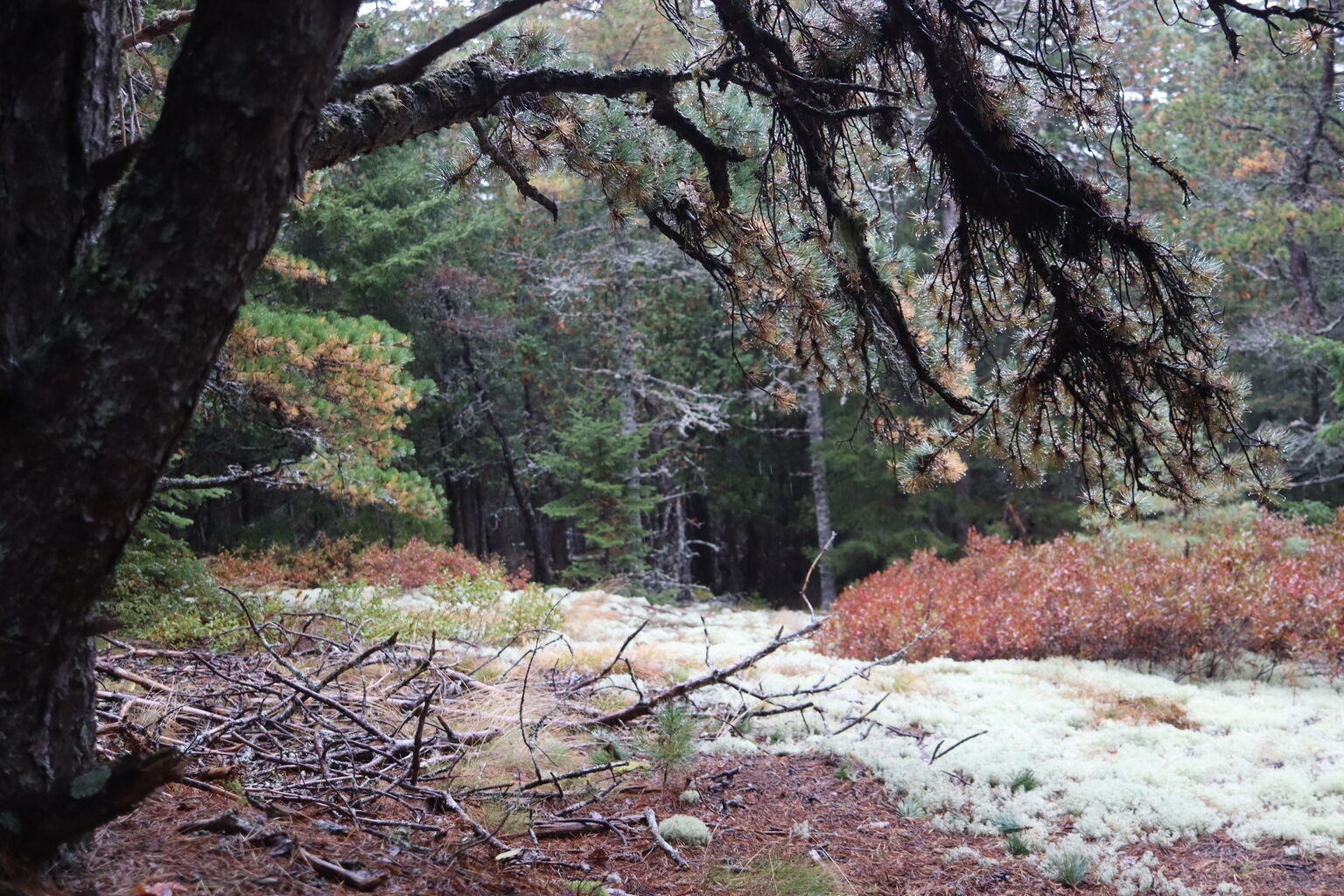 Photo 7 of 21