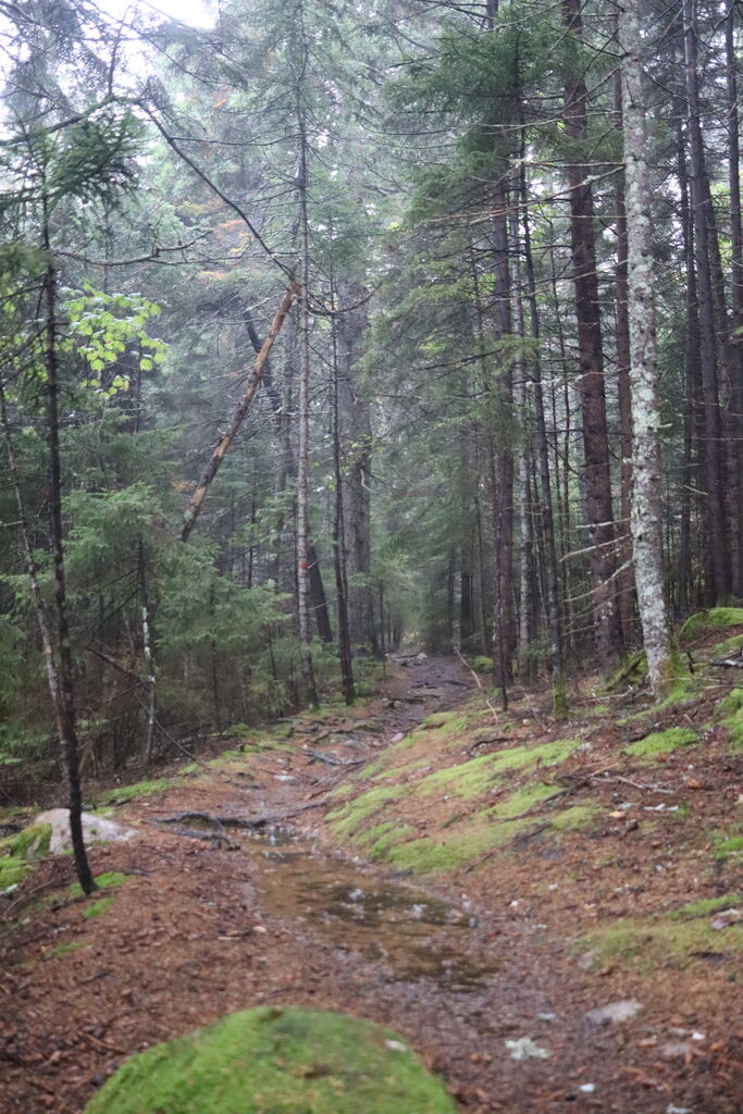 Photo 16 of 21