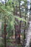 Photo 2 of 59