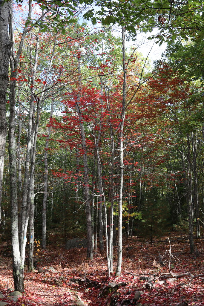 Photo 37 of 59