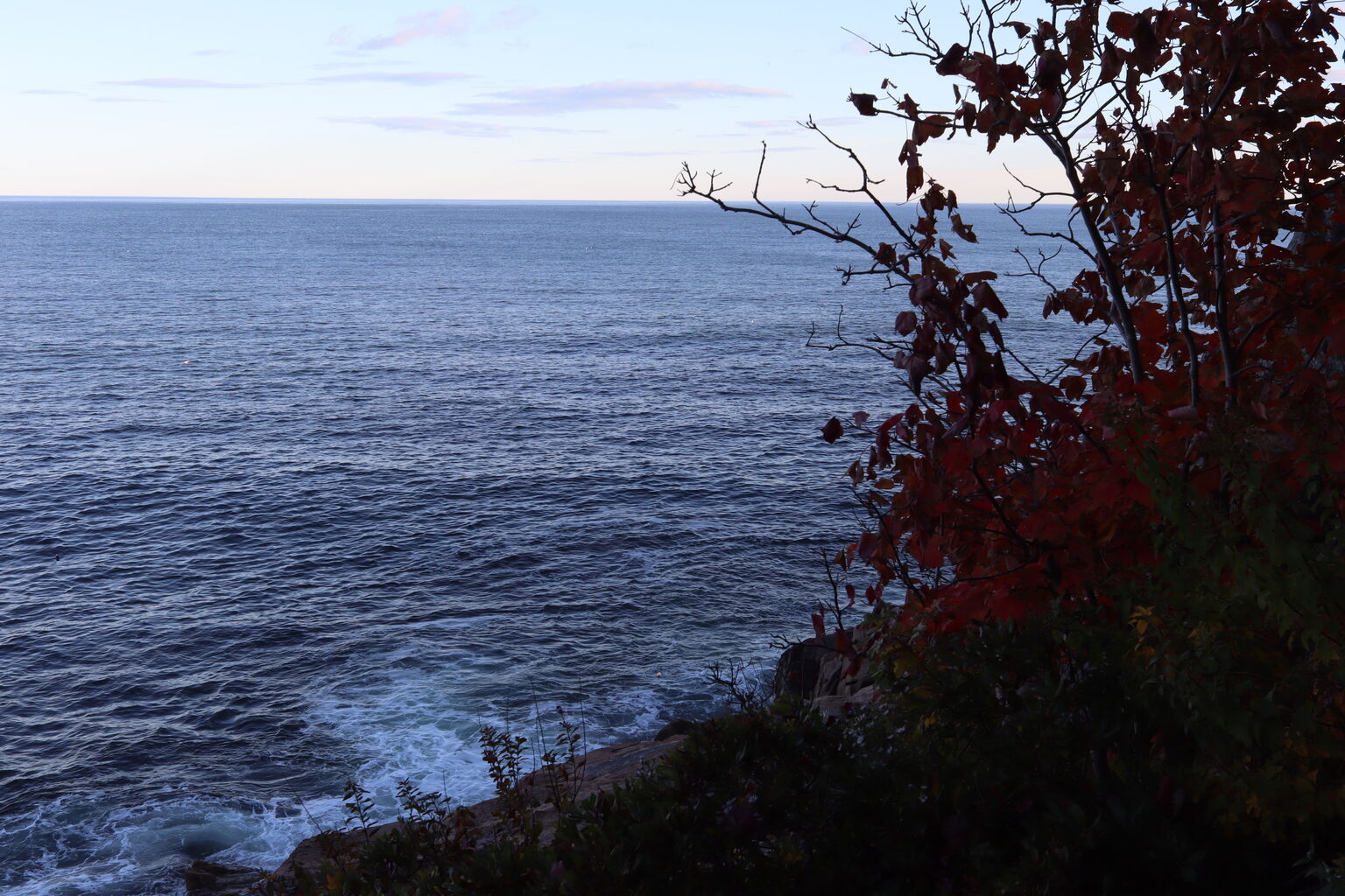 Photo 51 of 59