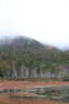 Photo 11 of 25