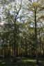 Photo 9 of 9
