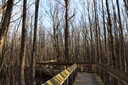 Photo 2 of 9
