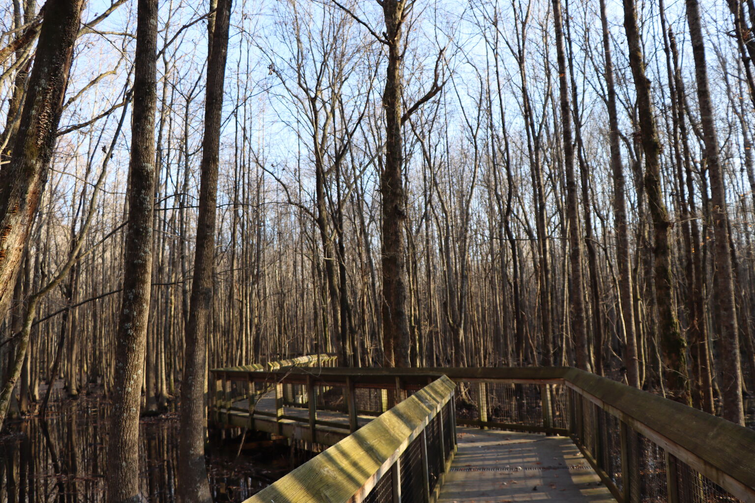 Photo 2 of 9