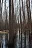 Photo 4 of 9