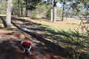 Photo 7 of 7