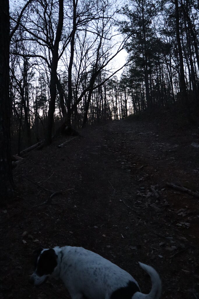 Photo 5 of 8
