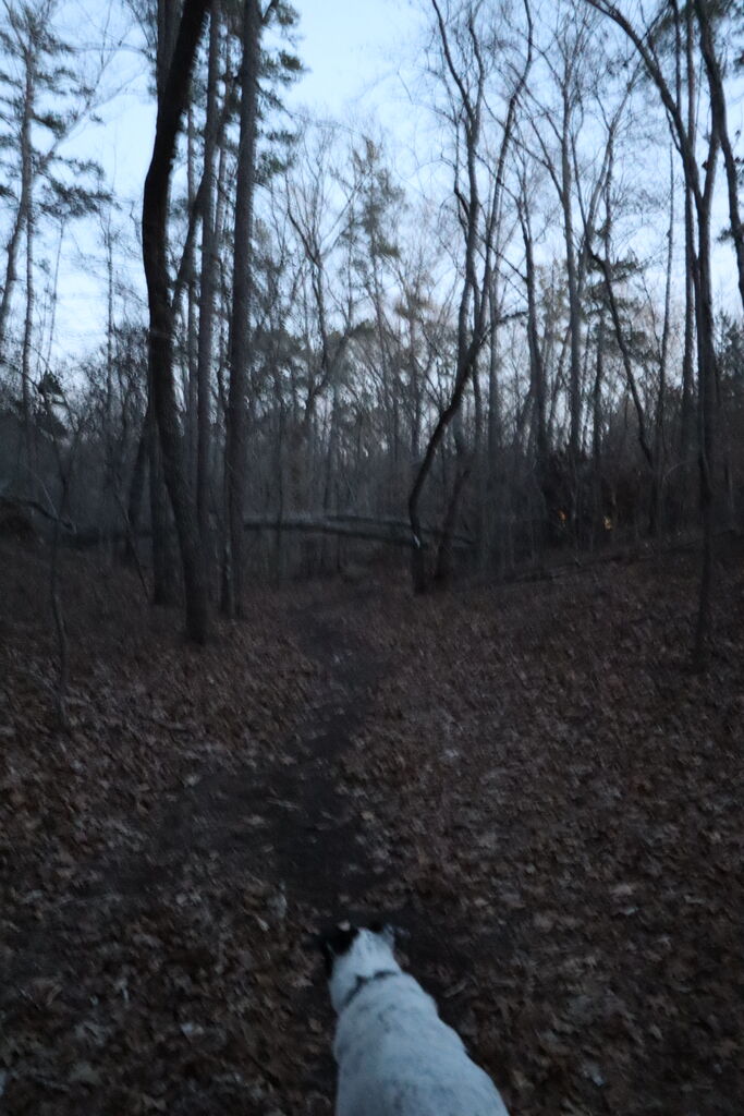 Photo 6 of 8