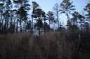 Photo 7 of 8