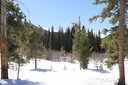 Photo 3 of 34