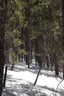 Photo 6 of 34