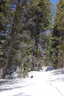 Photo 20 of 34