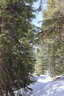 Photo 21 of 34