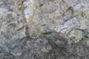 Photo 14 of 42
