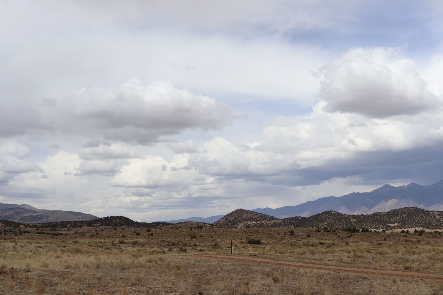 Photo 28 of 29