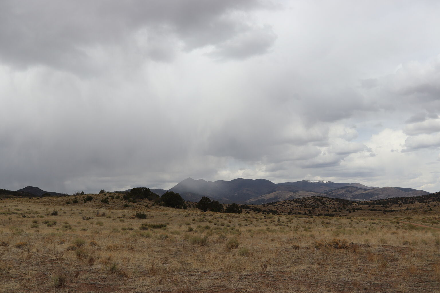 Photo 29 of 29